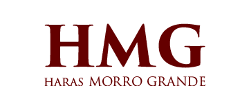 Haras Morro Grande